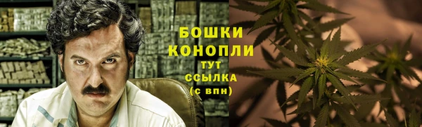 стафф Бородино