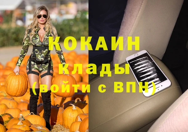 стафф Бородино