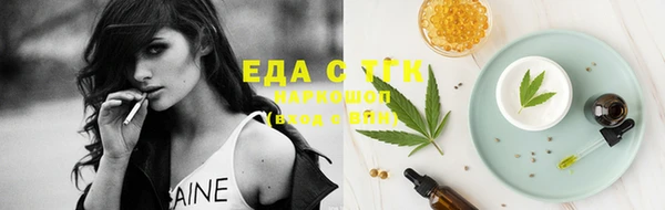 стафф Бородино