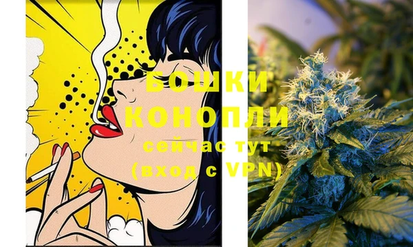 стафф Бородино