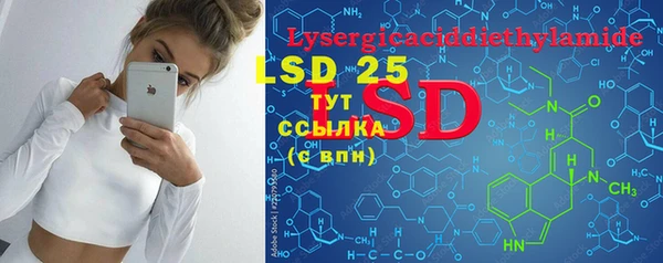 стафф Бородино