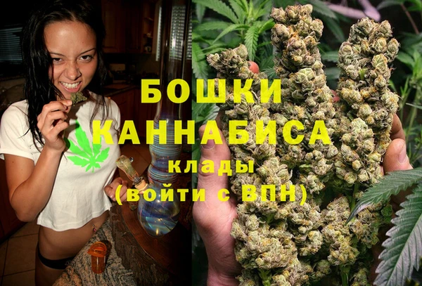 PSILOCYBIN Бугульма